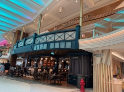 Icon of the Seas Point and Feather picture