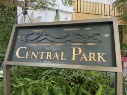 Icon of the Seas Central Park picture