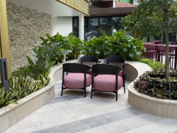 Icon of the Seas Central Park picture