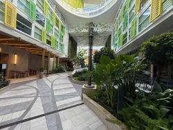 Icon of the Seas Central Park picture