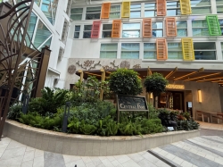 Icon of the Seas Central Park picture