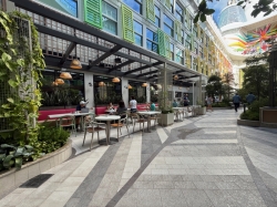 Icon of the Seas Park Cafe picture