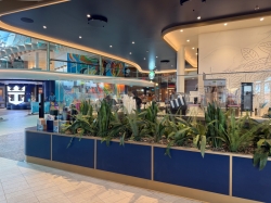 Icon of the Seas Starbucks picture