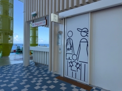 Icon of the Seas Splash Away Bay picture