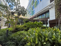 Icon of the Seas Central Park picture