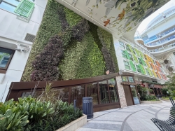 Icon of the Seas Central Park picture