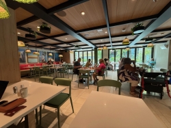 Icon of the Seas Park Cafe picture