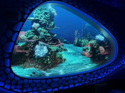 Star of the Seas Overlook Lounge picture