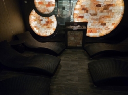 MSC Seashore MSC Aurea Spa picture