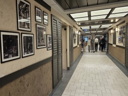 MSC Euribia Marketplace Buffet picture