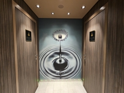 MSC Euribia MSC Aurea Spa picture