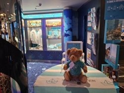 MSC Foundation picture MSC Foundation picture