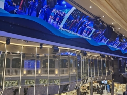 Galleria Euribia picture Galleria Euribia picture