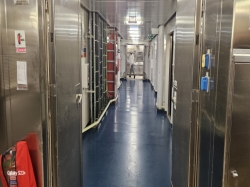 Majestic Princess Galley Tour picture