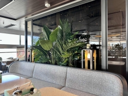 Norwegian Aqua Palomar picture