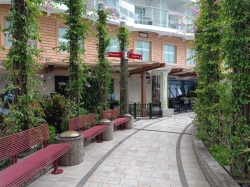 Central Park picture Central Park picture