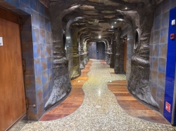 Enchanted Forest picture Enchanted Forest picture