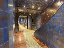 Enchanted Forest picture Enchanted Forest picture