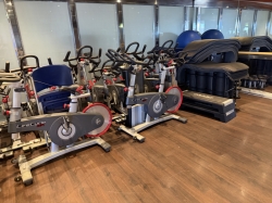 Carnival Legend Fitness Centre picture