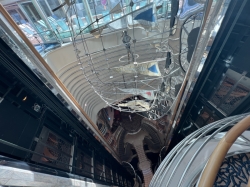 Voyager of the Seas Centrum picture