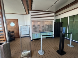 Voyager of the Seas Main Pools picture