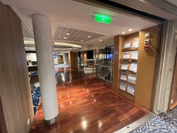 Next Cruise picture Next Cruise picture