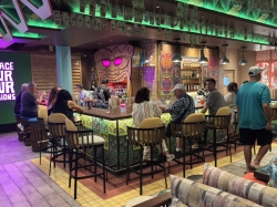 Allure of the Seas Pesky Parrot picture