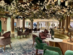 Disney Wish Bayou picture