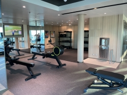 Star Princess Fitness Center picture