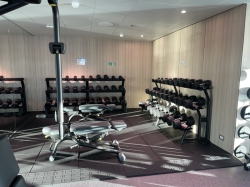 Star Princess Fitness Center picture