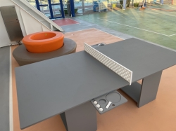 Star Princess Sports Court picture