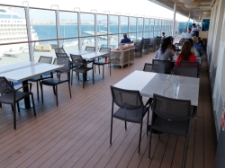 Star Princess The Promenade picture