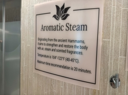 Spa Upper Level picture Spa Upper Level picture