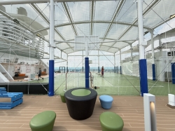 Star Princess Sports Court picture