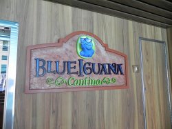 Blue Iguana Cantina picture