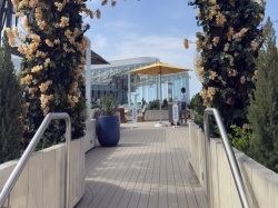 Rooftop Garden picture