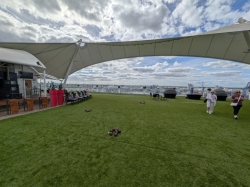 The Lawn Club picture