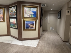 Star Princess Art Gallery picture