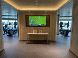 Star Princess Fitness Center picture