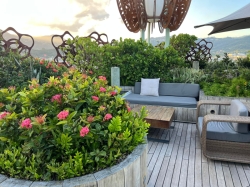 Rooftop Garden picture