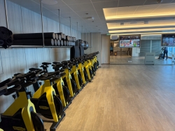 Star Princess Wellness Studio picture