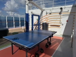 Star Princess Sports Court picture