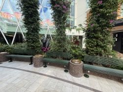 Central Park picture Central Park picture