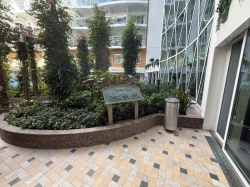 Utopia of the Seas Central Park picture