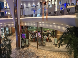 Allure of the Seas Pesky Parrot picture