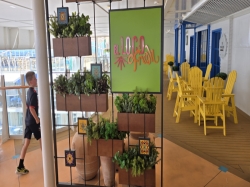 El Loco Fresh picture El Loco Fresh picture