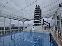Nieuw Statendam Sports Court picture