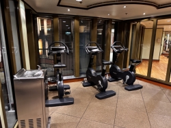 Norwegian Dawn Fitness Center picture