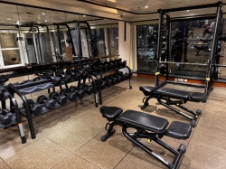 Norwegian Dawn Fitness Center picture