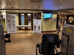 Norwegian Dawn Fitness Center picture